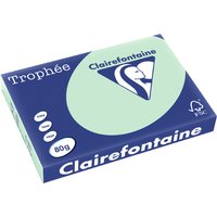 Clairefontaine Multifunktionspapier Trophée, A3, chamois