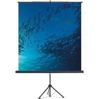 magnetoplan Stativ-Leinwand Standard, (B)2.000 x (H)2.000 mm