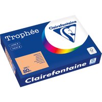 Clairefontaine Multifunktionspapier Trophée, A4, grau