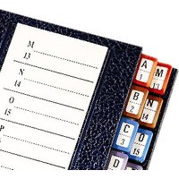 emey Pultordner Serie 11, DIN A4, 32 Fächer, schwarz