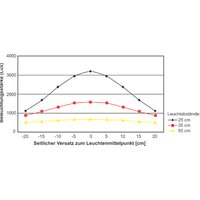 MAUL LED-Tischleuchte MAULstudy, Klemmfuß, schwarz