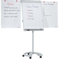 FRANKEN Flipchart PRO Deluxe Mobil, 670 x 950 mm, hellgrau FRANKEN Flipchart PRO Deluxe Mobil, 670 x 950 mm, hellgrau