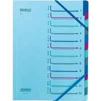 extendos Ordnungsmappe 43, 12 Fächer, mit Eckspanngummi