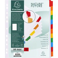 EXACOMPTA Karton-Register, DIN A4 Überbreite, 12-teilig