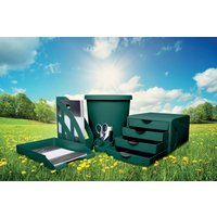 helit Schubladenbox , the green chameleon, , blau