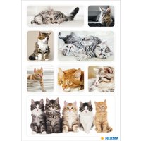 HERMA Sticker DECOR , Katzenkinder,