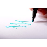 STAEDTLER Fasermaler pigment calligraphy pen, 12er Etui