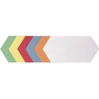 FRANKEN Moderationskarten Rhombus 95 x 205 mm, sortiert