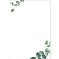 sigel Design-Papier , Eucalyptus, , DIN A5, 90 g/qm