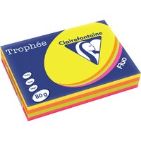 Clairefontaine Multifunktionspapier Trophée, A4, sortiert
