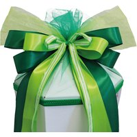 ROTH Schultütenschleife , Green Magic, , grün