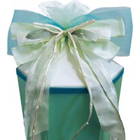 ROTH Schultütenschleife , Cool Mint, , mint / hellblau