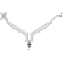 LEITZ Doppel-Monitorarm Ergo Dual, Armlänge: 453 mm,hellgrau