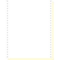 EXACOMPTA Computerpapier endlos, 240 mm x 12, (30,48 cm)