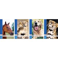 LANDRÉ Zeichenblock DIN A4, 100 g/qm, 20 Blatt, perforiert LANDRÉ Zeichenblock DIN A4, 100 g/qm, 20 Blatt, perforiert