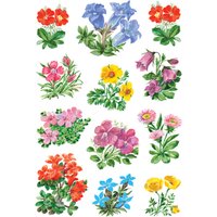HERMA Sticker DECOR , Gebirgsblumen, HERMA Sticker DECOR , Gebirgsblumen,