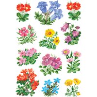 HERMA Sticker DECOR , Gebirgsblumen,