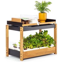 smart-garten-livingbloom-intelligenter-garten