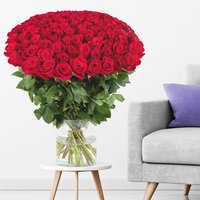 Blumenshop 100 Rosen PremiumRosen Red Naomi 60cm