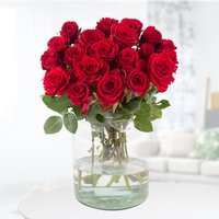 Blumenshop 20 Rote Rosen 40cm