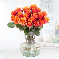 Blumenshop 20 Orange Rosen 40cm