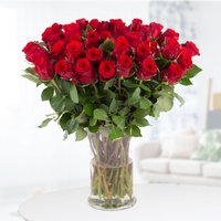 Blumenshop 40 Rote Rosen 40cm
