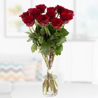 Blumenshop 12 Rote PremiumRosen 50cm