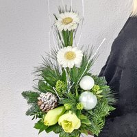 Blumenversand Edelweiss Profitieren Sie von 23% Rabatt auf die Schneekönigin