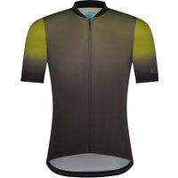 Maillot mangas cortas Evolve
