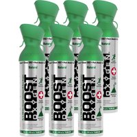 Discounted 6-Pack: Large