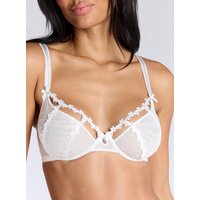 Ivy sheer mesh plunge bra