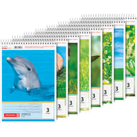 Schulblock | A5, Lineatur 3, 40 Blatt, sortiert