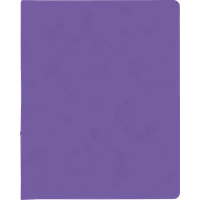 Ringbuch FACT!plus | A4, 2 Ringe, Füllhöhe: 15 mm, violett