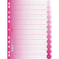 Ringbuchregister Colour Code | A4, 12 Blatt, pink