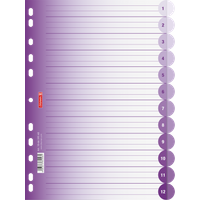 Ringbuchregister Colour Code | A4, 12 Blatt, purple