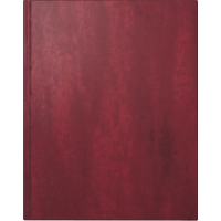 Buchkalender Premium Mod. Managerkalender TM 2027 | 20,5×26 cm, Kunstleder, rotbraun