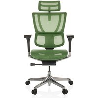 ERGOHUMAN SLIM GEN2 | Netz - Luxus Chefsessel Grün