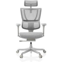 ERGOHUMAN SLIM G GEN2 | Netz - Luxus Chefsessel Hellgrau