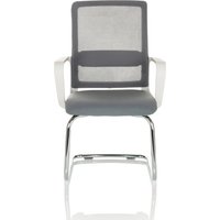 VISITER W - Freischwinger Grau