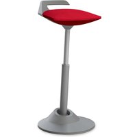 AERIS MUVMAN - Swopper Standard Mikrofaser Rot Grau