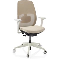 Skandis | mit Kopfstütze - Profi Bürostuhl Beige / Weiß