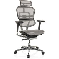 ERGOHUMAN GEN2 | Netz - Luxus Chefsessel Hellgrau