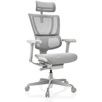 ERGOHUMAN SLIM G GEN2 | Netz - Luxus Chefsessel Hellgrau