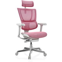 ERGOHUMAN SLIM G GEN2 | Netz - Luxus Chefsessel Rosa
