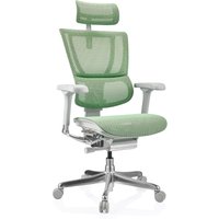 ERGOHUMAN SLIM G GEN2 | Netz - Luxus Chefsessel Grün