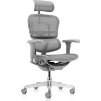 ERGOHUMAN ULTRA G GEN2 | Netz - Luxus Chefsessel Grau