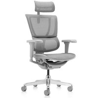 ERGOHUMAN SLIM ULTRA G GEN2 | Netz - Luxus Chefsessel Grau