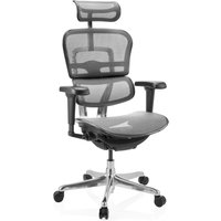 ERGOHUMAN ULTRA GEN2 | Netz - Luxus Chefsessel Grau