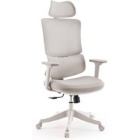 Ergomy Colore | Stoff / 3D Netz | Rahmen: Bunt - Home Office Bürostuhl Beige