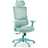 Ergomy Colore - Home Office Bürostuhl Türkis